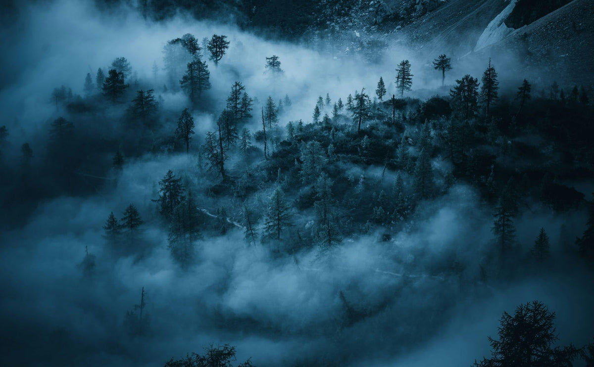 What Is A Wendigo? - TOTYM